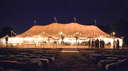14x32m Oval Silhouette Tent (411m²) – Organic-Concept